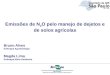 Emissões de N 2 O pelo manejo de dejetos e de solos agrícolas Bruno Alves Embrapa Agrobiologia Magda Lima Embrapa Meio-Ambiente