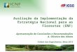 1 Avaliação da Implementação da Estratégia Nacional para as Florestas (ENF) Apresentação de Conclusões e Recomendações A. Oliveira das Neves Ordem dos