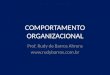 COMPORTAMENTO ORGANIZACIONAL Prof. Rudy de Barros Ahrens 