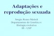 Adaptações e reprodu ç ão sexuada Sergio Russo Matioli Departamento de Genética e Biologia evolutiva IB - USP