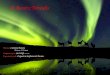 A Aurora Borealis Composta por: Carl Orff, em 1936 Executada pela: Orquestra Sinfônica de Boston Música: Carmina Burana Abertura: Ó Fortuna