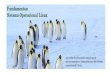 Arvore de Diretório Permissões de Acesso No Linux há três modelos de controle de acesso básicos: Read, Write e Execution. Veja um exemplo