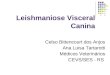 Leishmaniose Visceral Canina Celso Bittencourt dos Anjos Ana Luisa Tartarotti Médicos Veterinários CEVS/SES - RS