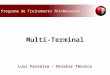 Luiz Ferreira – Diretor Técnico Programa de Treinamento ThinNetworks Multi-Terminal
