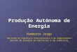 Produção Autónoma de Energia Humberto Jorge Mestrado em Engenharia Electrotécnica e de Computadores Gestão de Energia em Edifícios e na Indústria