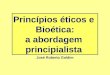 Princípios éticos e Bioética: a abordagem principialista José Roberto Goldim