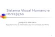 1 Sistema Visual Humano e Percepção Joaquim Macedo Departamento de Informática da Universidade do Minho