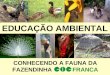 EDUCAÇÃO AMBIENTAL CONHECENDO A FAUNA DA FAZENDINHA FRANCA