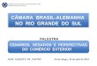 CÂMARA BRASIL-ALEMANHA NO RIO GRANDE DO SUL CENÁRIOS, DESAFIOS E PERSPECTIVAS DO COMÉRCIO EXTERIOR JOSÉ AUGUSTO DE CASTRO Porto Alegre, 29 de abril de