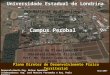 Universidade Estadual de Londrina Plano Diretor de Desenvolvimento Físico Territorial Maio/2007 Campus Perobal Desenvolvimento Eng. Nelson Amanthea Colaboradores: