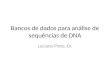 Bancos de dados para análise de sequências de DNA Luciano Pinto, Dr
