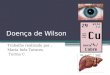 Doença de Wilson Trabalho realizado por : Maria Inês Tavares Turma C