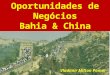 Oportunidades de Negócios Bahia & China Vladimir Milton Pomar
