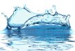 A água é um ser??? essencial para a vida humana, pois sem ela não viveríamos.  A água cobre 71% da superfície da Terra.  Na Terra, ela é encontrada