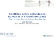 Conflitos entre actividades humanas e a biodiversidade Participação na formulação de políticas Rui Santos, Paula Antunes