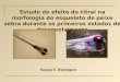 Susana F. Domingues Estudo do efeito do citral na morfologia do esqueleto de peixe zebra durante os primeiros estados de desenvolvimento