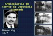 Gruentzig, 1977 Angioplastia do Tronco da Coronria Esquerda