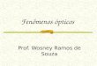 Prof. Wosney Ramos de Souza. Reflexão da Luz Reflexão Regular Reflexão Difusa ou Irregular