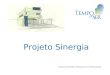 Projeto Sinergia Essencial Gestão Empresarial, em 09/set/2013