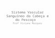 Sistema Vascular Sanguíneo da Cabeça e do Pescoço Prof Viviane Marques
