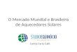 O Mercado Mundial e Brasileiro de Aquecedores Solares Carlos Faria Café