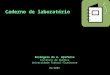 Caderno de laboratório Rosângela de A. Epifanio Instituto de Química Universidade Federal Fluminense 02/2005
