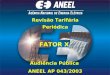 Revisão Tarifária Periódica FATOR X Audiência Pública ANEEL AP 043/2003 5 de fevereiro de 2004 Brasília – DF