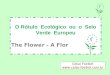 O Rótulo Ecológico ou o Selo Verde Europeu The Flower - A Flor Celso Foelkel 