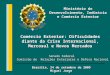 Senado Federal Comissão de Relações Exteriores e Defesa Nacional Ministério do Desenvolvimento, Indústria e Comércio Exterior Brasília, 24 de setembro