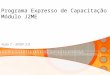 Programa Expresso de Capacitação Módulo J2ME Aula 7 – MIDP 2.0
