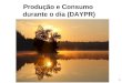 1 Produção e Consumo durante o dia (DAYPR). 2 Modelo de produção e consumo diário Um exemplo comum é o da fotossíntese e a respiração nas plantas e nas