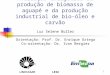 1 Avaliação emergética da produção de biomassa de aguapé e da produção industrial de bio-óleo e carvão Luz Selene Buller Orientação: Prof. Dr. Enrique