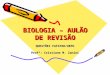BIOLOGIA – AULÃO DE REVISÃO QUESTÕES FAFIPAR/UEPG Profª: Cristiane M. Zanini