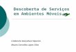 Descoberta de Serviços em Ambientes Móveis Lindonete Gonçalves Siqueira Mauro Carvalho Lopes Silva
