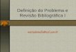 Definição do Problema e Revisão Bibliográfica I mariademello@uol.com.br