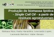 Produção de biomassa lipídica - Single Cell Oil - a partir de resíduos agroindustriais Bárbara Niza; Kaidu Hanashiro; Leornardo Lopes; Leonardo Belchior;