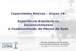 Capacidades Básicas – Anexo 1B: Experiência Brasileira no Desenvolvimento e Implementação de Planos de Ação Denise Siqueira de Carvalho Universidade Federal