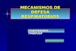 MECANISMOS DE DEFESA RESPIRATÓRIOS FISIOTERAPIA – FMRPUSP Paulo Evora