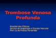 Trombose Venosa Profunda Hospital das Clínicas Serviço de Angiologia e Cirurgia Vascular Prof. Ly de Freitas Fernandes