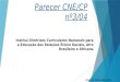 Parecer CNE/CP nº3/04 Institui Diretrizes Curriculares Nacionais para a Educação das Relações Étnico Raciais, Afro Brasileira e Africana Silvana Sahez