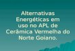 Alternativas Energéticas em uso no APL de Cerâmica Vermelha do Norte Goiano