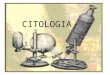 CITOLOGIA A área da Biologia que estuda a célula, no que diz respeito à sua estrutura e funcionamento. Kytos (célula) + Logos (estudo) As células são