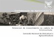 Confederação da Agricultura e Pecuária do Brasil Comissão Nacional de Silvicultura e Agrossilvicultura Agosto de 2014 Potencial de investimento na cadeia
