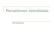 Parasitoses intestinais Nematódeos. Vermes cilíndricos Metazoários mais abundantes Muito diversificado (200.000 espécies)