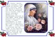 Madre Teresa, dentre tantas vocações, tinha também um notável dom para a escrita. Cada uma destas é fruto de sua vida do Evangelho Vivo e Vivido. Cada