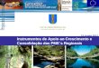 UNIÃO EUROPEIA Fundo Europeu de Desenvolvimento Regional Instrumentos de Apoio ao Crescimento e Consolidação das PME´s Regionais 13 Junho 2012