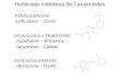 Herbicidas Inibidores de Carotenóides norflurazon – Zorial PYRIDAZINONE ISOXAZOLIDINONE ISOXAZOLE e TRIKETONE isoxaflutole – Provence mesotrione - Callisto