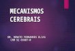 MECANISMOS CEREBRAIS DR. RENATO FERNANDES ELIAS CRM 52 65607-0 CRM 52 65607-0