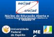 Núcleo de Educação Aberta e a Distância Centros Regionais de Educação Aberta e a Distância MEC Universidade Federal do Espírito Santo