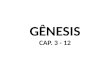 GÊNESIS CAP. 3 - 12. COMEÇO DO PECADO NO MUNDO I – O capítulo 3 de Gênesis revela como os humanos tornaram-se pecadores e corromperam a ordem criada mediante